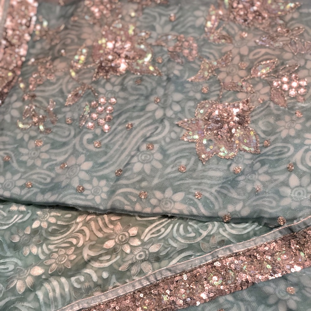 Light Aqua Saree & Designer Halter Blouse